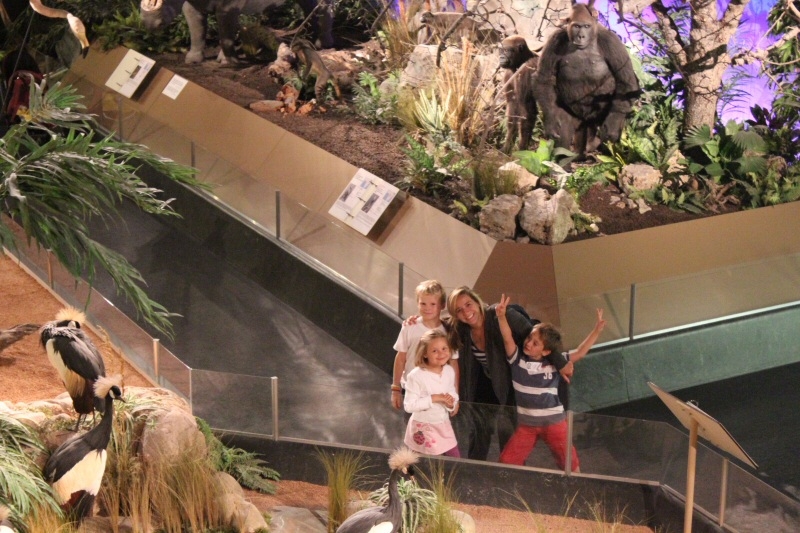 Village Camps International Summer Camp VDC Geneva 2016-08-12 https://www.villagecamps.com/journals_admin/images/332-10-Picture 040.jpg